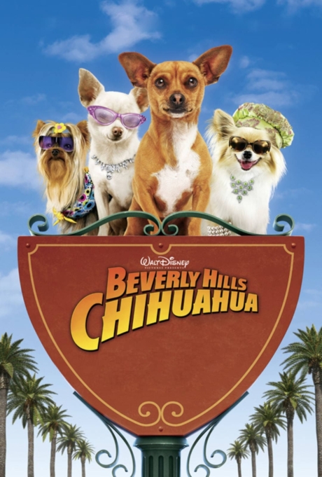 Beverly Hills Chihuahua 1 1 2008