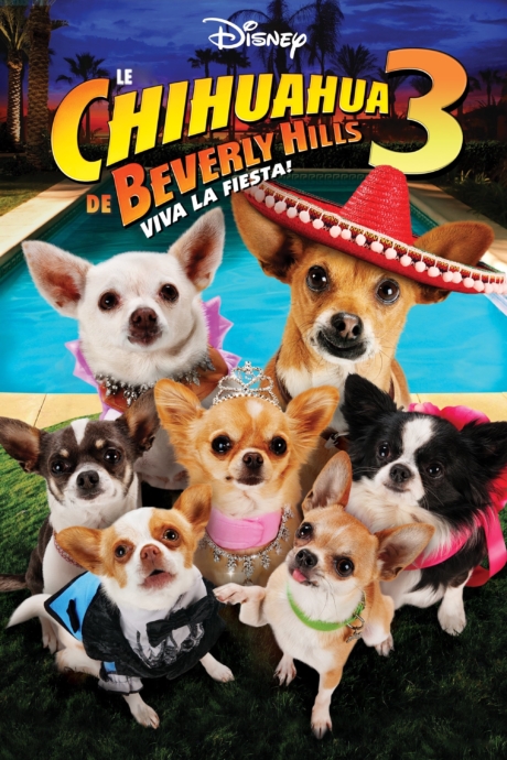 Beverly Hills Chihuahua 3 Viva la Fiesta 3 2012