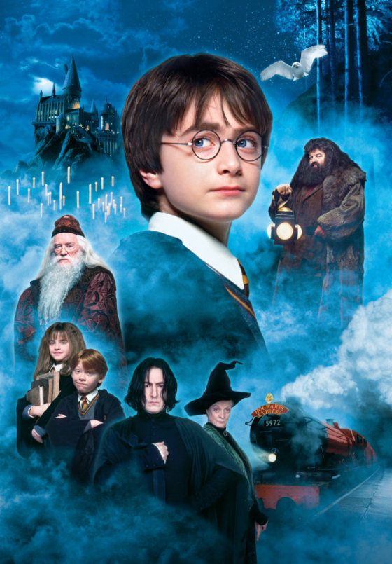 Harry Potter and the Sorcerer 8217 s Stone 1 1 2001