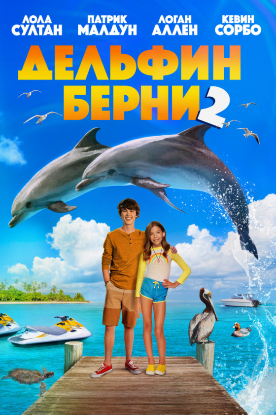 Bernie the Dolphin 2 2 2019