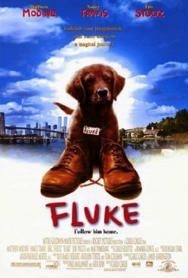 Fluke เกิดใหม่กลายเป็นหมา (1995)