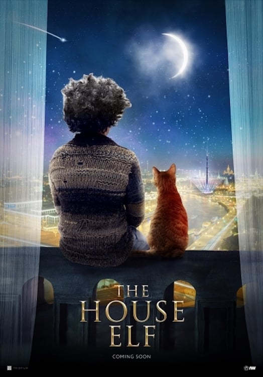 The House Elf บ้านนี้เอลฟ์ดุ (2019)