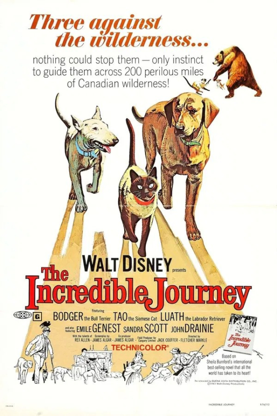 The Incredible Journey 1963