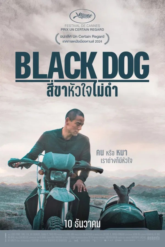 Black Dog 2024
