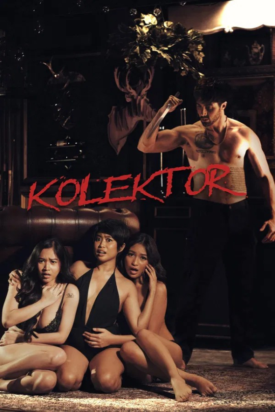 Kolektor 2025