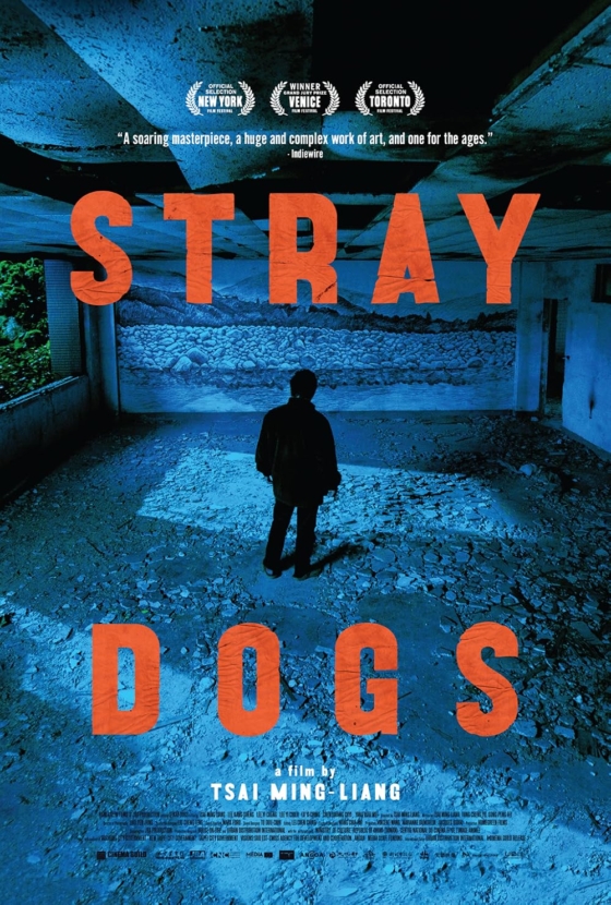 Stray Dogs 2013