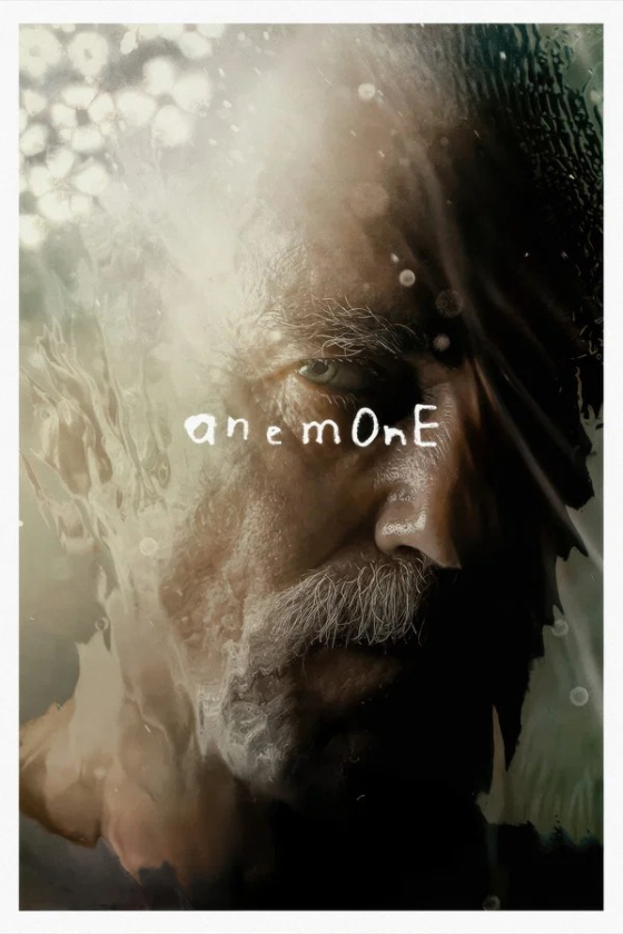 Anemone 2025
